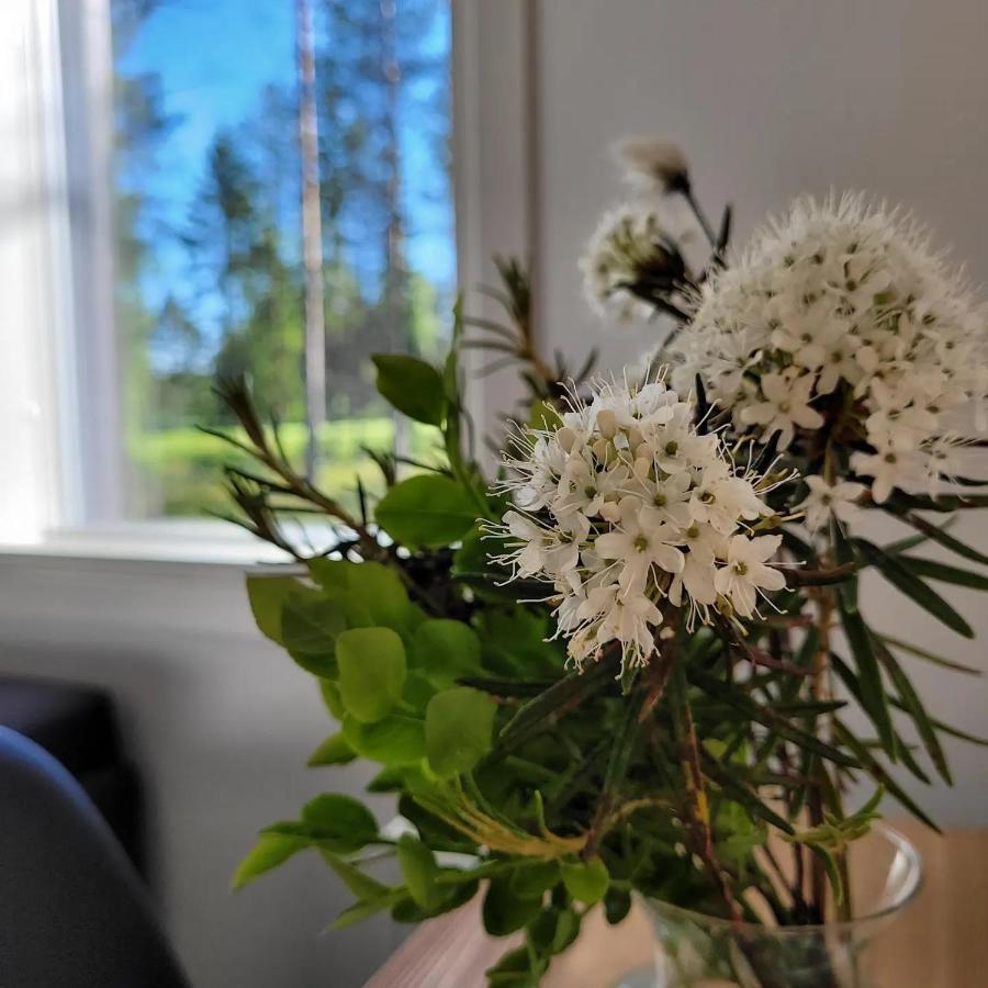 Siikavilla, Siikajoki Eksteriør bilde